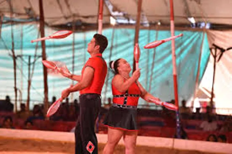 a a circus 2