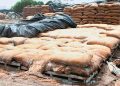 food grain wasted