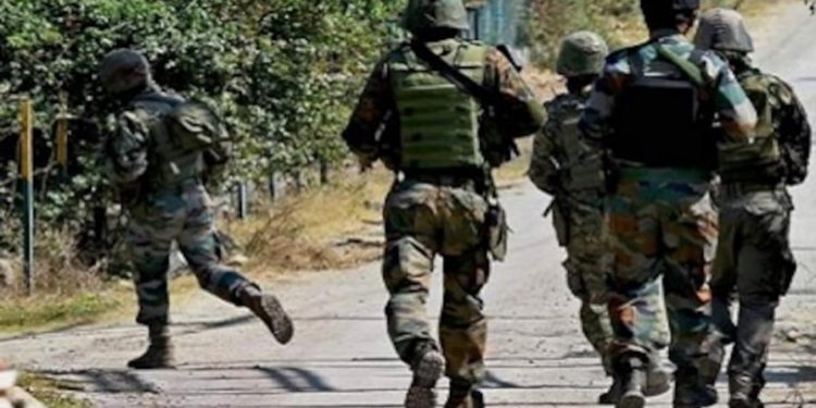 kashmir-1000_571_855