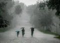 rainfall-pic-edited-again