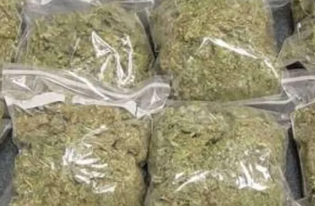 0edf11eb-indian-hemp