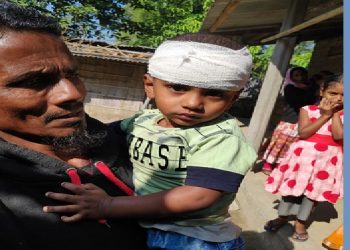 শোণিতপুৰৰ নপাম বৰগুৰিত বাঘৰ আক্ৰমণত গুৰুতৰভাৱে আঘাতপ্ৰাপ্ত এটি শিশু