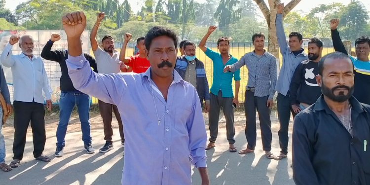 ফটো : নৰ্থ-ইষ্ট নাও