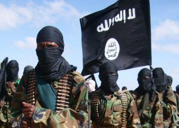 ISIS-1