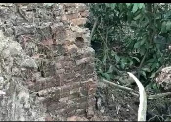 ৰজাদিনীয়া গম্বুজ উদ্ধাৰক লৈ টীয়কৰ জাঁজীমুখত কৌতুহল