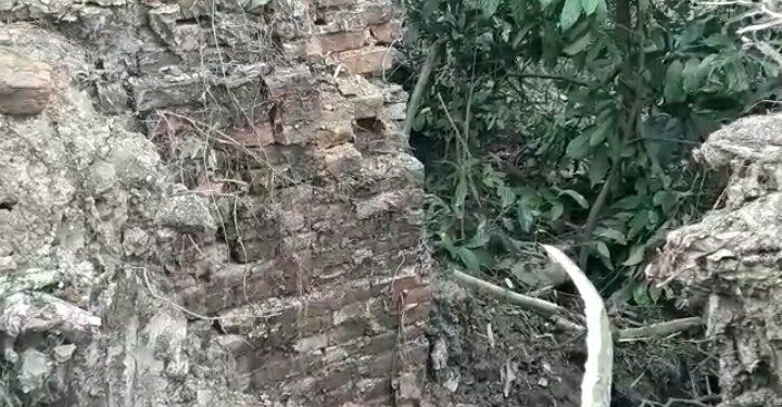 ফটো : নৰ্থ-ইষ্ট নাও