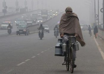 a delhi_570_850_(1)
