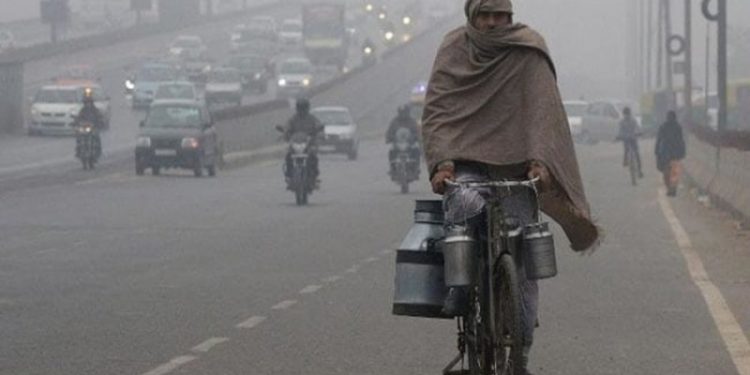 a delhi_570_850_(1)