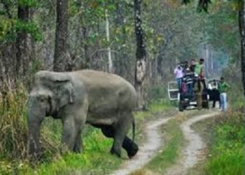 ১০ নৱেম্বৰৰ পৰা দৰ্শনাৰ্থীৰ বাবে পুনৰ মুকলি হ’ব পবিতৰা অভয়াৰণ্য