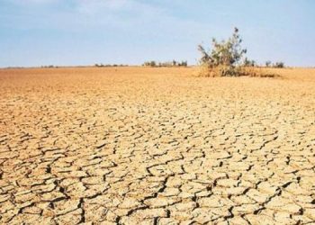 ক’ৰ’না ভাইৰাছতকৈয়ো জলবায়ু পৰিৱৰ্তন পৃথিৱীৰ প্ৰতি ভয়াবহ : ৰেডক্ৰছ