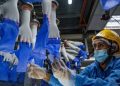 ppe kit-glove makers factory