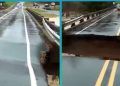 reporter-bridge-collapse