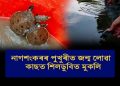 মুকলি আকাশৰ তলত প্ৰাণ পাই উঠিল ২২ টিকৈ কাছ পোৱালিয়ে