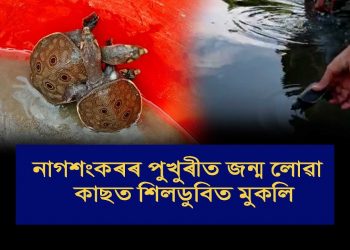 মুকলি আকাশৰ তলত প্ৰাণ পাই উঠিল ২২ টিকৈ কাছ পোৱালিয়ে