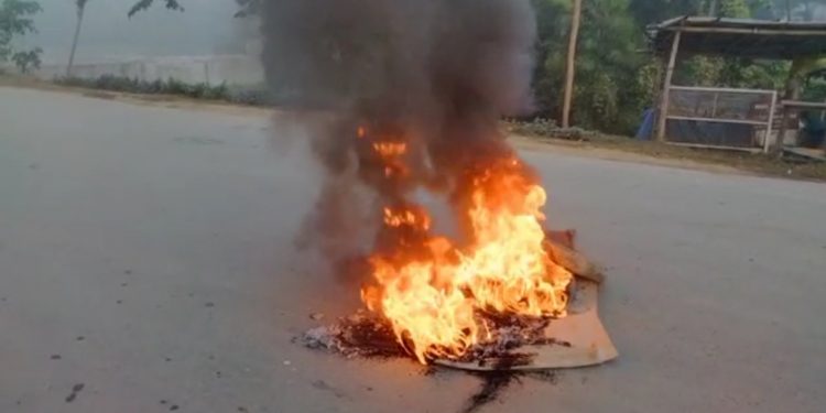 ফটো : নৰ্থ-ইষ্ট নাও