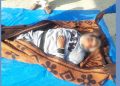 বাক্সাত তীব্ৰবেগী বাছৰ খুন্দাত কৰুণ মৃত্যু প্ৰাতঃভ্ৰমণলৈ যোৱা ব্যক্তিৰ