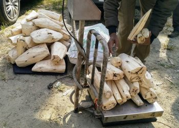 বোকাখাতত চোৰাং সাঁচি কাঠ সহ দুখন বিলাসী গাড়ী জব্দ