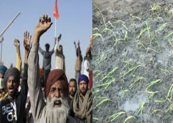 বিদ্ৰোহ দীঘলীয়া হোৱাৰ ইংগিত; প্ৰতিবাদস্থলীত কৃষিকৰ্ম আৰম্ভ কৰিছে প্ৰতিবাদী কৃষকে