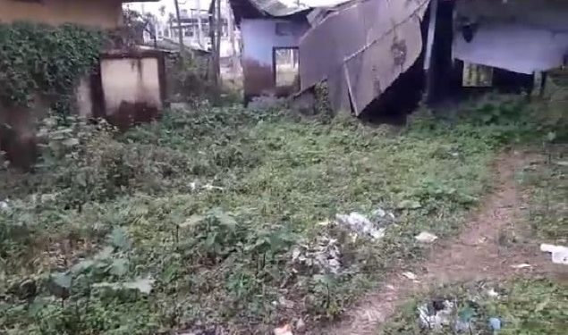 ফটো : নৰ্থ-ইষ্ট নাও