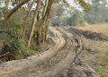 বজালীত অবৈধ বালি খনন, নীৰৱ ভূমিকা বন বিভাগৰ
