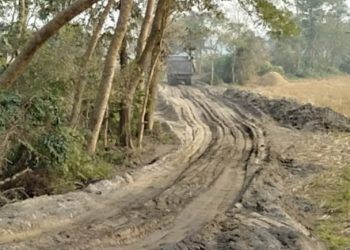 বজালীত অবৈধ বালি খনন, নীৰৱ ভূমিকা বন বিভাগৰ