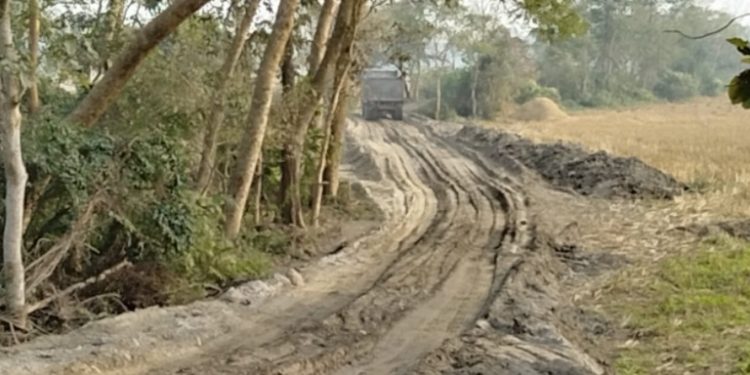 ফটো : নৰ্থ-ইষ্ট নাও