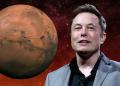 Elon mask