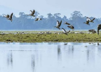 কাজিৰঙাৰ সংৰক্ষিত এলেকাৰ ভিতৰৰ বিলসমূহত মাছ ধৰাত নিষেধাজ্ঞা প্ৰশাসনৰ