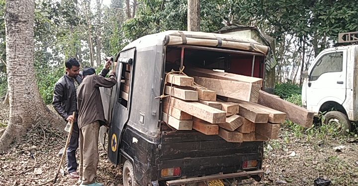ফটো : নৰ্থ-ইষ্ট নাও