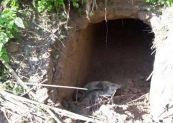 India-Bangladesh-tunnel-750x375
