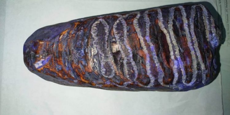 Rhino-horn-1140x570