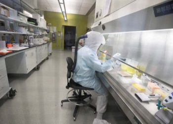 a VACCINE1-articleLarge
