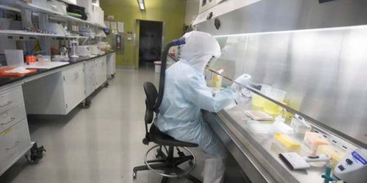 a VACCINE1-articleLarge