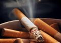 a ciga