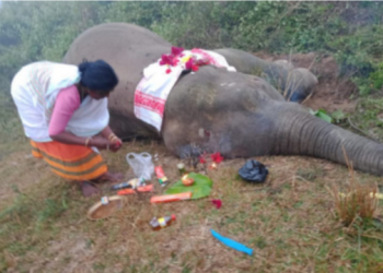 Assam_Died_From_El