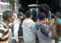 Haju