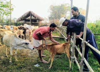 কাজিৰঙা ৰাষ্ট্ৰীয় উদ্যানৰ কাষৰীয়া অঞ্চলৰ পশুধনক টিকাকৰণ অভিযান আৰম্ভ