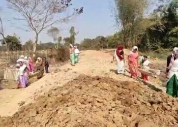 টীয়কত এনৰেগা আঁচনিৰ সফল ৰূপায়নেৰে কৰ্মৰ নিদৰ্শন শতাধিক মহিলা শ্ৰমিকৰ