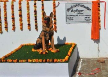 dog-statue 123