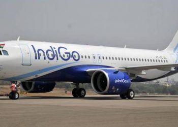 indigo