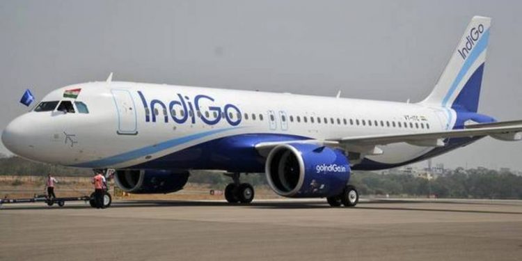 indigo