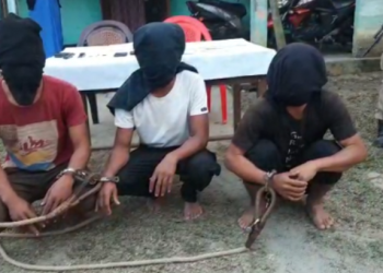 terrrorist arrested