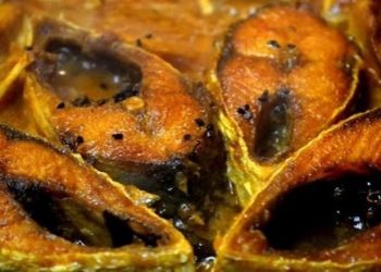 Hilsa Fish Curry
