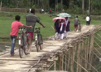 Margherita bridge