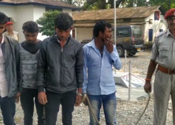 Robbers arrested
