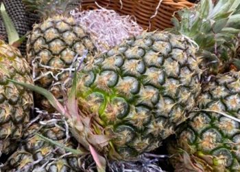 Taiwan pineaple