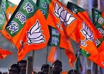 a bjp