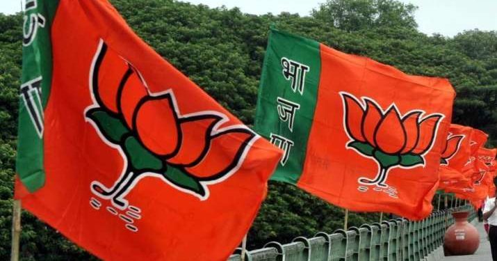 bjp-2-1541141023-715x375-1