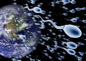 human-sperm-bank