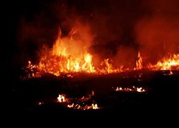 49tl1ulc_fire-generic_625x300_06_September_18